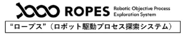 ROPES